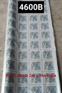 Thảm nhựa simili thuận an bình dương